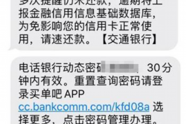 郴州为什么选择专业追讨公司来处理您的债务纠纷？